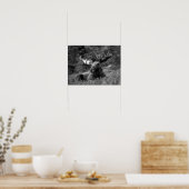 Moose Black White Photo Modern Rustic Cabin Poster (Keuken)