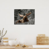 Moose Black White Photo Monochromatische Rustic Poster (Keuken)