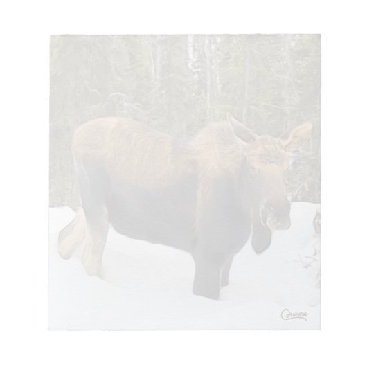 Moose - Bloc-notes de 5,5 po x 6 po (Devant)
