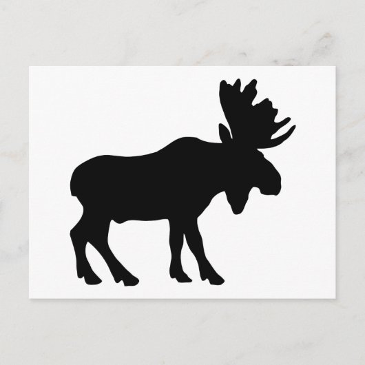 Moose Briefkaart (Voorkant)