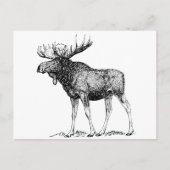 Moose Briefkaart (Voorkant)