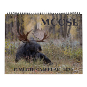 Moose Calendar - Groot formaat Kalender