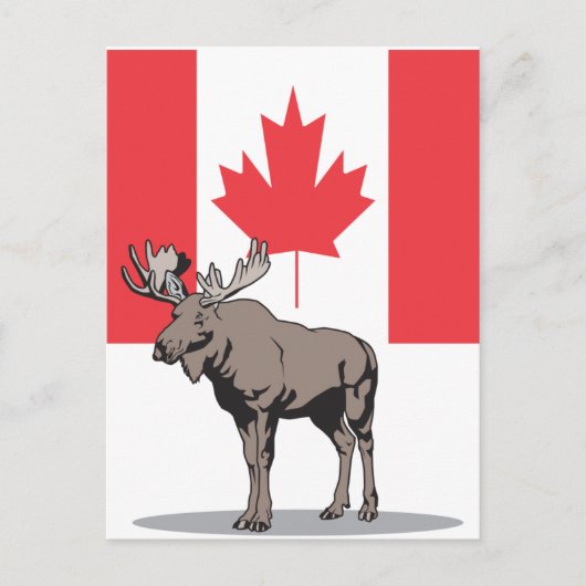 Moose Canada Briefkaart (Voorkant)