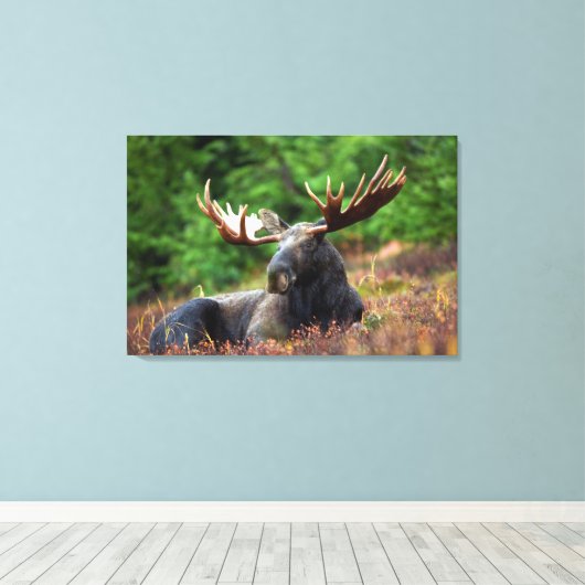 Moose Canvas Afdruk (Insitu (Houten vloer))