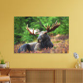 Moose Canvas Afdruk (Insitu (Woonkamer))