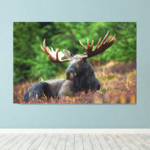 Moose Canvas Afdruk (Insitu (Houten vloer))
