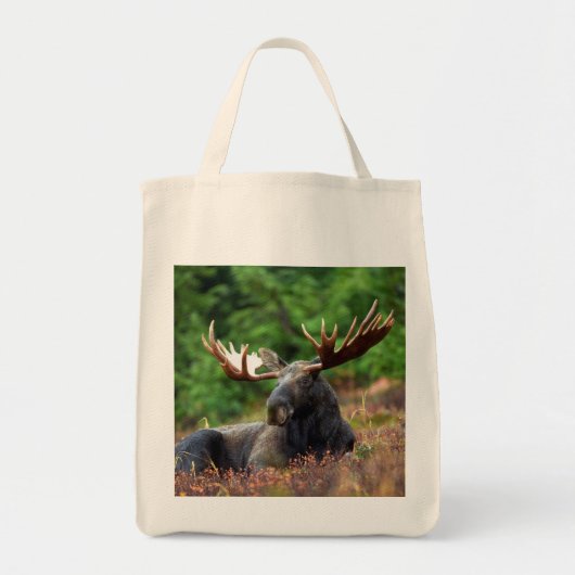 Moose Canvas tas (Voorkant)