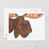 moose_card briefkaart (Voorkant / Achterkant)