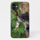 Moose Case-Mate iPhone Case (Achterkant)