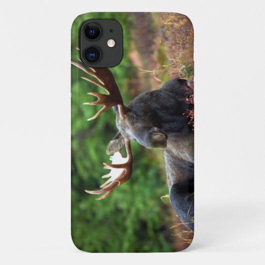 Moose Case-Mate iPhone Case (Achterkant)