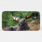 Moose Case-Mate iPhone Case (Achterkant (horizontaal))