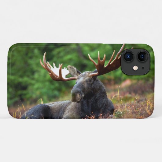 Moose Case-Mate iPhone Case (Achterkant (horizontaal))