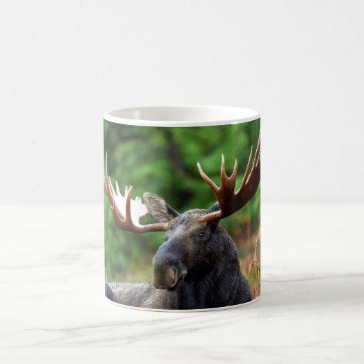 Moose Coffee Mok (Center)