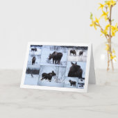 Moose Collage; Happy Birthday Kaart (Gele Bloem)