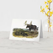 Moose Deer (Moose - Alces alces) van Audubon Kaart (Gele Bloem)