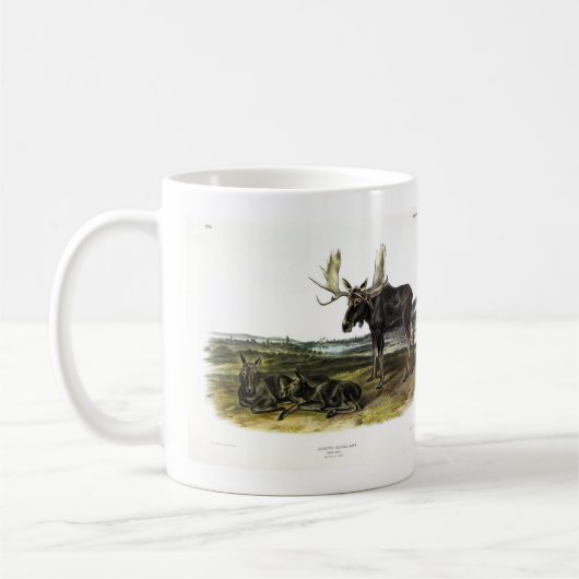 Moose Deer (Moose - Alces alces) van Audubon Koffiemok (Links)