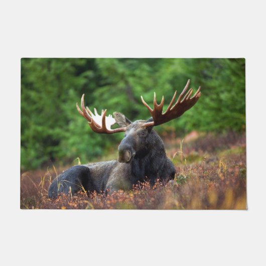 Moose Deurmat (Voorkant)