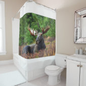 Moose Douchegordijn (In situ)