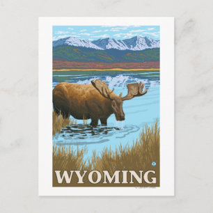 Moose Drink aan het meer van Wyoming Briefkaart