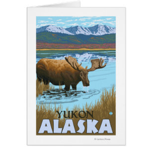 Moose Drink het meer van Yukon, Alaska