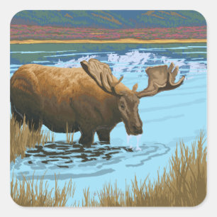 Moose Drink het meer - Yellowstone National Vierkante Sticker