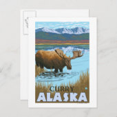 Moose Drink op Lake - Curry, Alaska Briefkaart (Voorkant / Achterkant)
