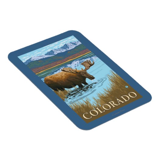 Moose DrinkingColorado Magneet (Rechterzijde)