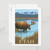 Moose DrinkingUtah Briefkaart (Voorkant / Achterkant)
