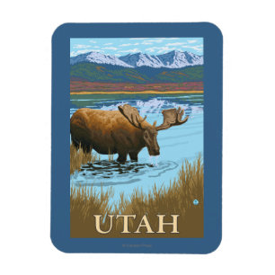 Moose DrinkingUtah Magneet