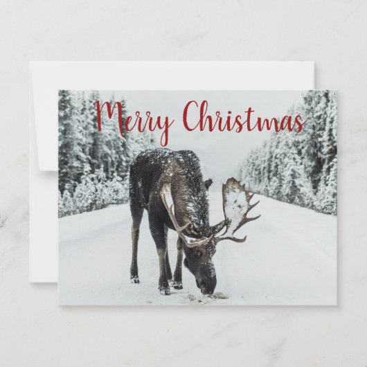 Moose En Hiver Carte De Vacances Neige (Devant)