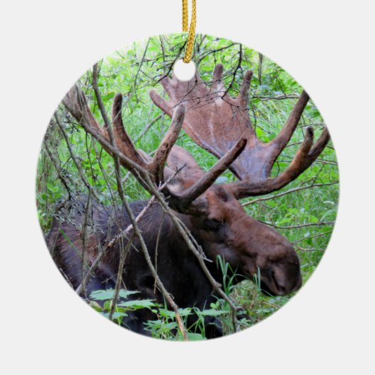 Moose en Loon Keramisch Ornament (Voorkant)
