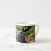 Moose Espresso Kop (Voorkant rechts)