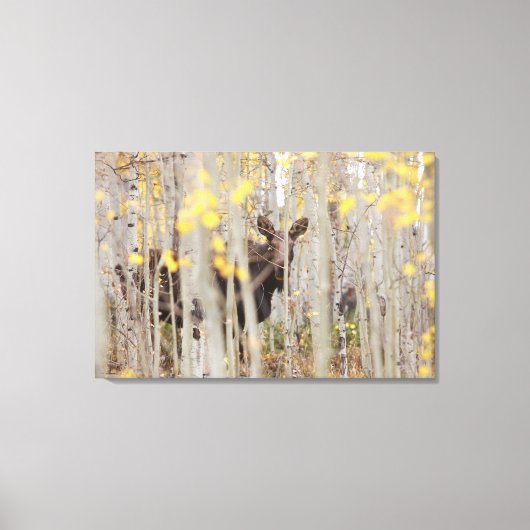 Moose Familie in de Aspens Canvas Art (Voorkant)