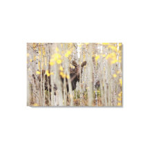 Moose Familie in de Aspens Canvas Art