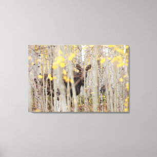 Moose Familie in de Aspens Canvas Art