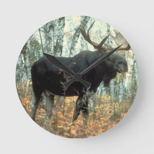 Moose Forest Trees Park Animal Wildlife Art Ronde Klok