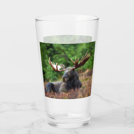 Moose Glas (Achterkant)