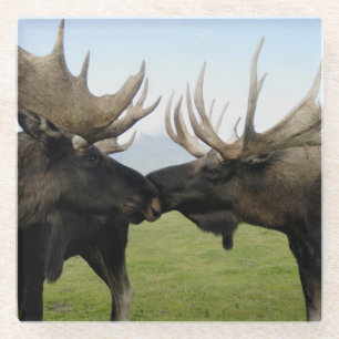 Moose Glazen Onderzetter