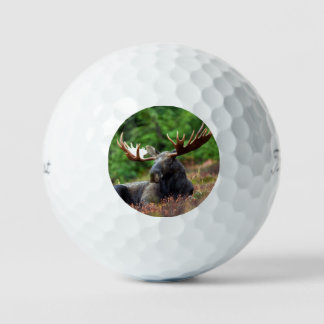 Moose Golfballen