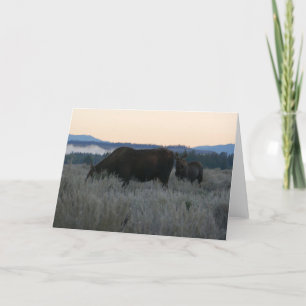 Moose Grazing op zonsopgang bij Grand Teton Kaart