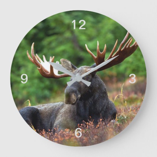 Moose Grote Klok (Voorkant)