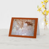Moose in Alaska Blank Greeting Card Kaart (Gele Bloem)