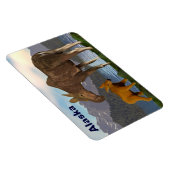 Moose in de Meadow Magneet (Rechterzijde)