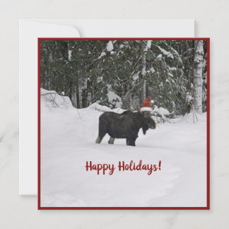 Moose in een kerstkaart met platte kerstkaart kaart