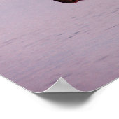 Moose in Lake Poster (Hoek)