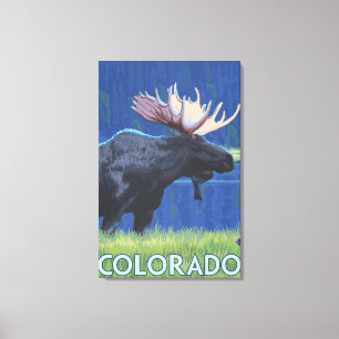 Moose in MoonlightColorado Canvas Afdruk