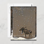 Moose in Snow Briefkaart (Voorkant / Achterkant)