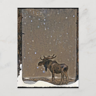 Moose in Snow Briefkaart