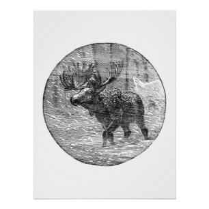 Moose in Snow Emblem Perfect Poster