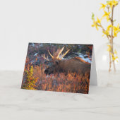 Moose in the Morning' Kaart (Gele Bloem)